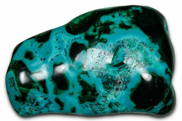 Vibrant Polished Malachite with Chrysocolla - DR Congo #336838